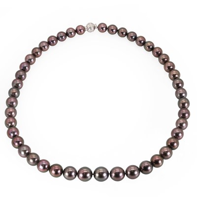 Lot 146 - A single row graduated black South Sea pearl necklace, by Mikimoto