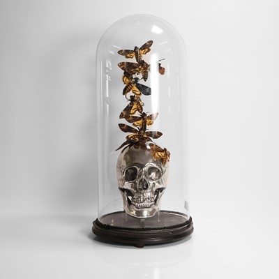 Lot 350 - A taxidermy vanitas