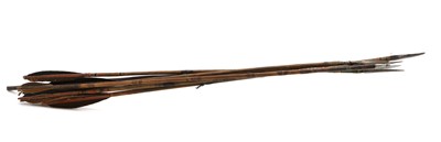 Lot 128 - A group of eight Indian arrows