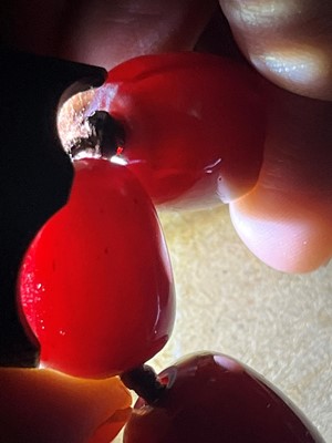 Lot 249 - A Bakelite bead necklace