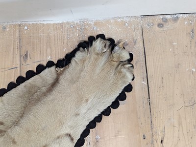 Lot 359 - A taxidermy Bengal tiger skin rug