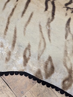 Lot 359 - A taxidermy Bengal tiger skin rug