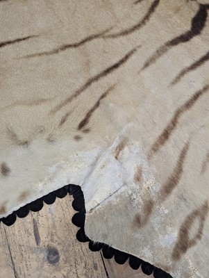 Lot 359 - A taxidermy Bengal tiger skin rug