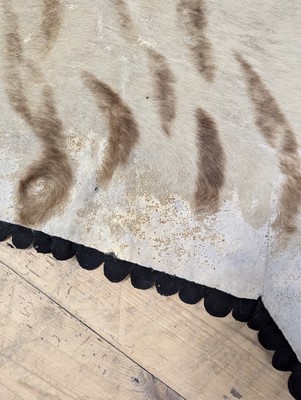 Lot 359 - A taxidermy Bengal tiger skin rug