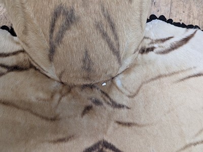 Lot 359 - A taxidermy Bengal tiger skin rug