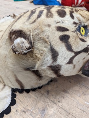 Lot 359 - A taxidermy Bengal tiger skin rug