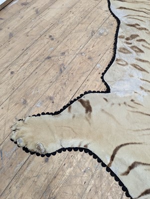 Lot 359 - A taxidermy Bengal tiger skin rug