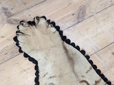 Lot 359 - A taxidermy Bengal tiger skin rug