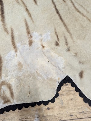 Lot 359 - A taxidermy Bengal tiger skin rug