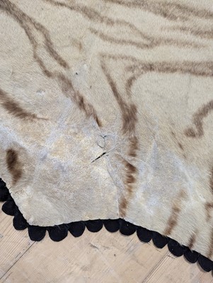 Lot 359 - A taxidermy Bengal tiger skin rug