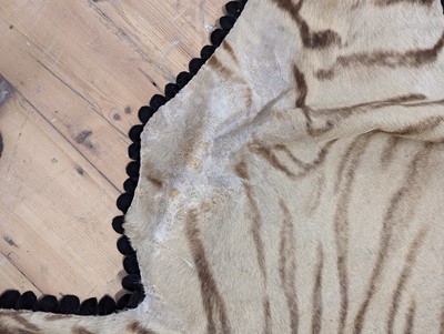 Lot 359 - A taxidermy Bengal tiger skin rug