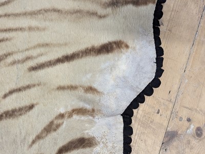 Lot 359 - A taxidermy Bengal tiger skin rug