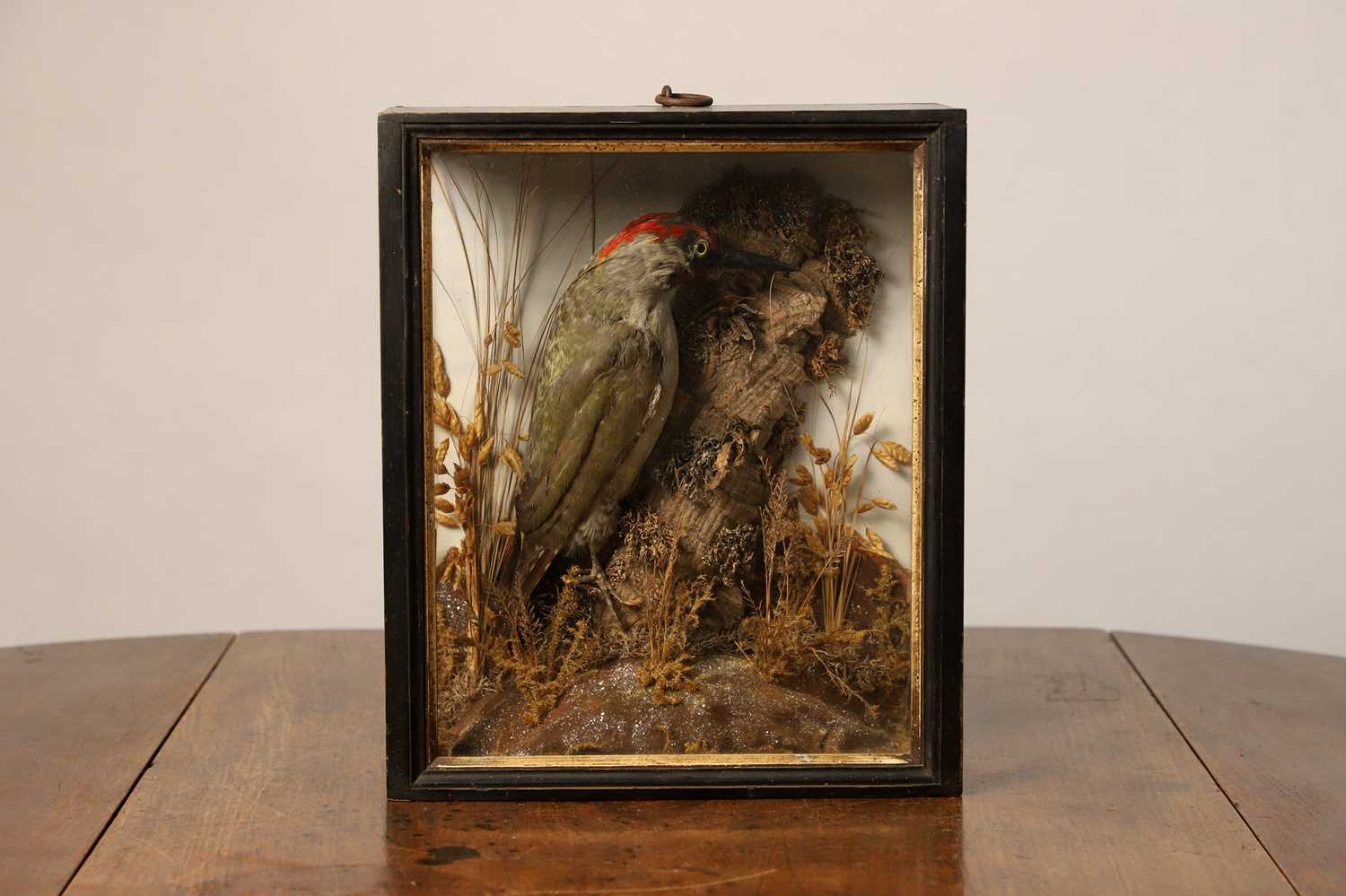 Lot 115 - Taxidermy: a green woodpecker