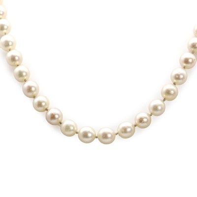 Lot 203 - A uniform single row cultured pearl necklace