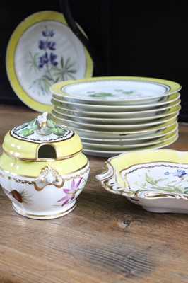 Lot 102 - A Derby porcelain botanical dessert service
