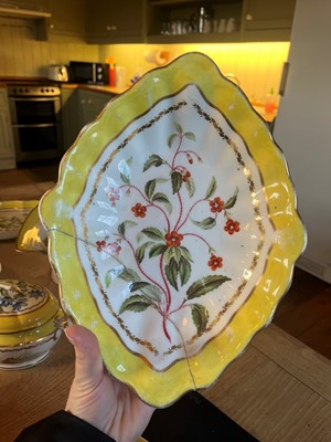 Lot 102 - A Derby porcelain botanical dessert service