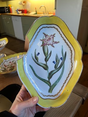 Lot 102 - A Derby porcelain botanical dessert service