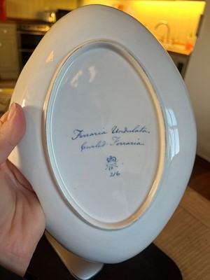 Lot 102 - A Derby porcelain botanical dessert service