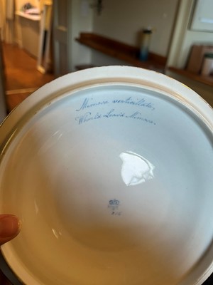 Lot 102 - A Derby porcelain botanical dessert service
