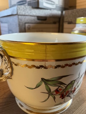Lot 102 - A Derby porcelain botanical dessert service