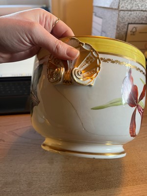 Lot 102 - A Derby porcelain botanical dessert service