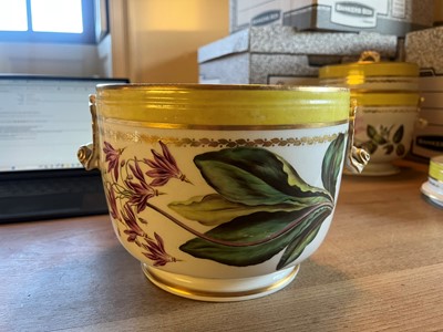 Lot 102 - A Derby porcelain botanical dessert service