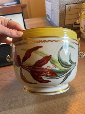 Lot 102 - A Derby porcelain botanical dessert service