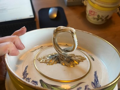 Lot 102 - A Derby porcelain botanical dessert service