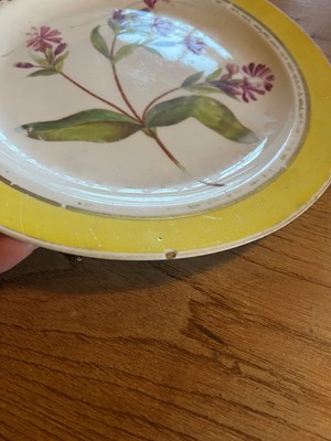 Lot 102 - A Derby porcelain botanical dessert service