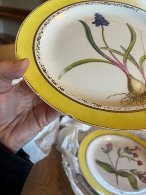 Lot 102 - A Derby porcelain botanical dessert service