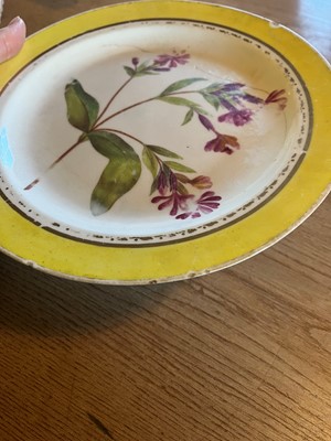 Lot 102 - A Derby porcelain botanical dessert service