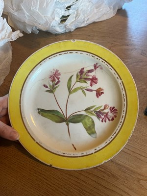 Lot 102 - A Derby porcelain botanical dessert service