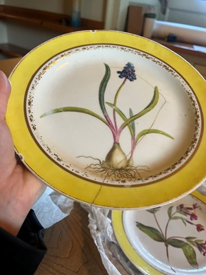 Lot 102 - A Derby porcelain botanical dessert service