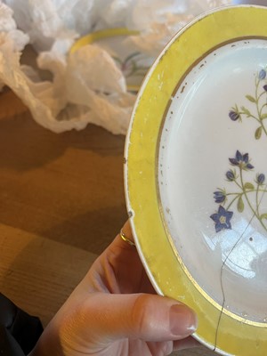 Lot 102 - A Derby porcelain botanical dessert service