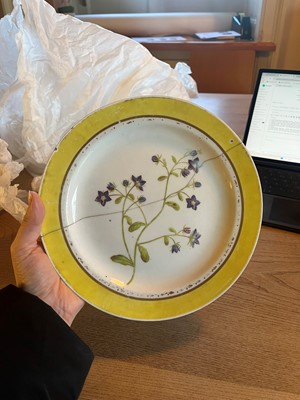 Lot 102 - A Derby porcelain botanical dessert service