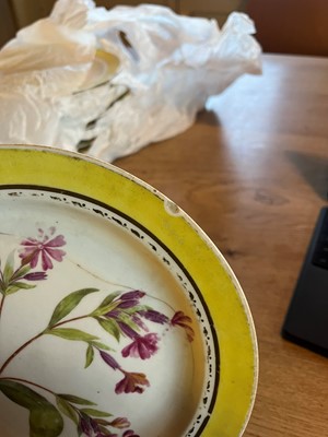 Lot 102 - A Derby porcelain botanical dessert service