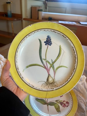 Lot 102 - A Derby porcelain botanical dessert service