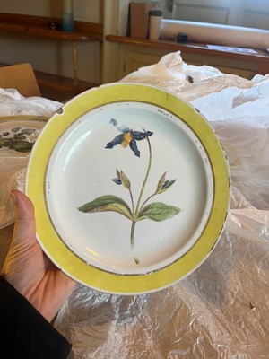 Lot 102 - A Derby porcelain botanical dessert service