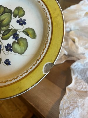 Lot 102 - A Derby porcelain botanical dessert service