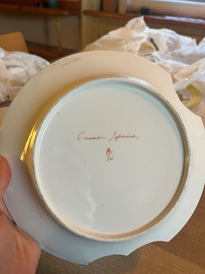 Lot 102 - A Derby porcelain botanical dessert service