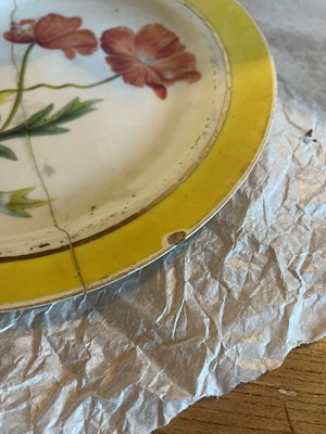 Lot 102 - A Derby porcelain botanical dessert service