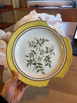Lot 102 - A Derby porcelain botanical dessert service