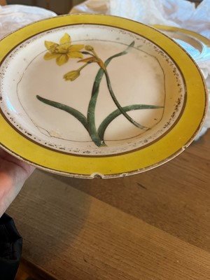 Lot 102 - A Derby porcelain botanical dessert service