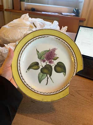 Lot 102 - A Derby porcelain botanical dessert service