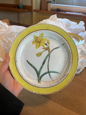 Lot 102 - A Derby porcelain botanical dessert service