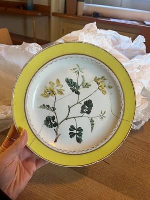Lot 102 - A Derby porcelain botanical dessert service