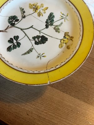 Lot 102 - A Derby porcelain botanical dessert service