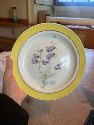 Lot 102 - A Derby porcelain botanical dessert service