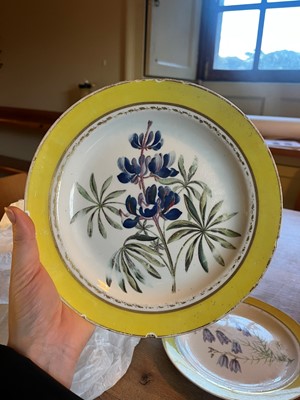 Lot 102 - A Derby porcelain botanical dessert service