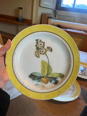 Lot 102 - A Derby porcelain botanical dessert service